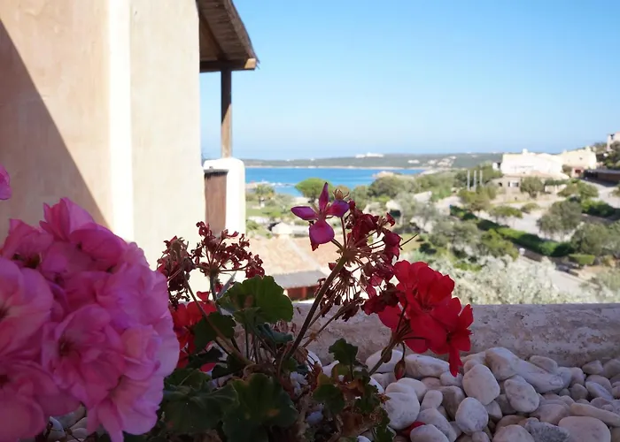 Hotel Bagaglino I Giardini Di 4*