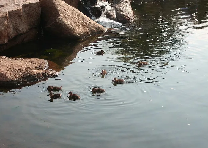 Bagaglino I Giardini Di Hotel