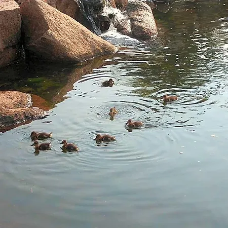 Bagaglino I Giardini Di Hotel