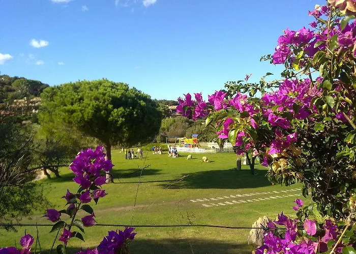 酒店 巴杰丽诺伊贾帝尼迪波托切尔沃酒店 切尔沃港