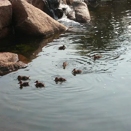 바가글리노 이 지아르디니 디 포르토 세르보 호텔